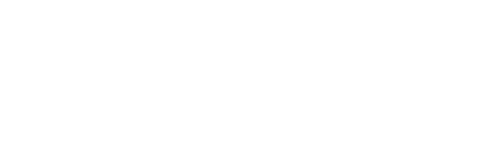 the-bizz-advisor-white-logo