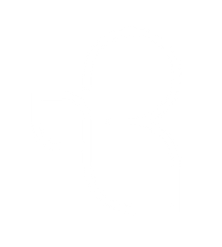 the-bizz-advisor-white-logo-butterfly